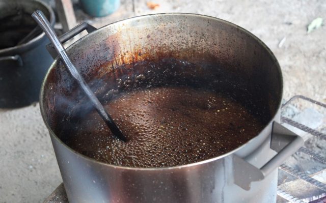Ayahuasca Brew, made from Banisteriopsis caapi vine and the Psychotria viridis plant.